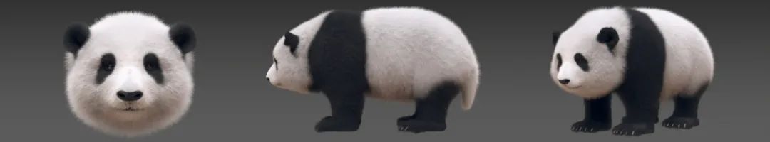 微信图片_20250307100934.jpg