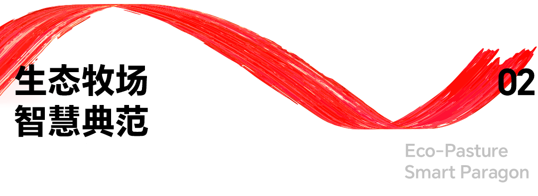 05.png